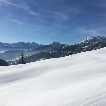 Petit Bleu Chamois